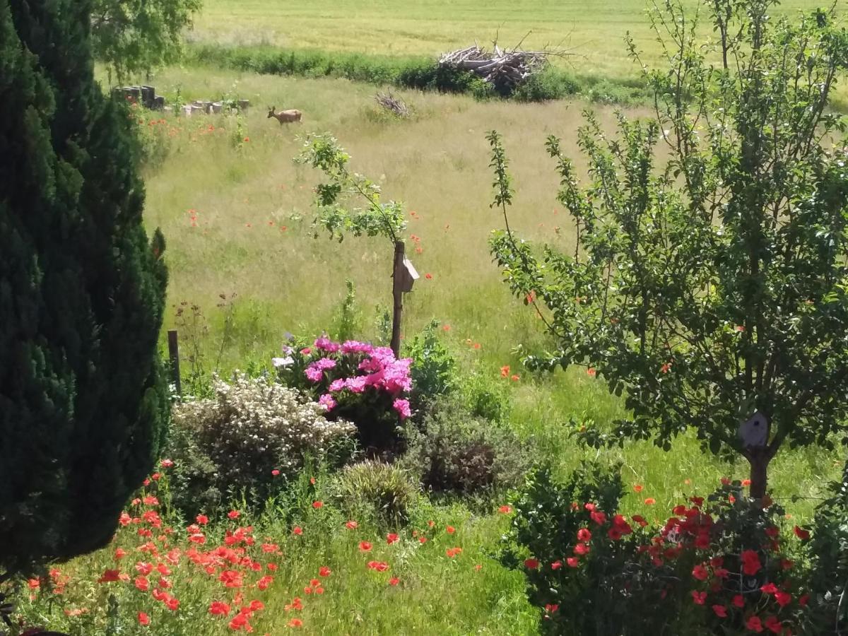 Haus Rosengarten- Ruhige Ferienwohnungen Im Gruenen Sehlen Εξωτερικό φωτογραφία